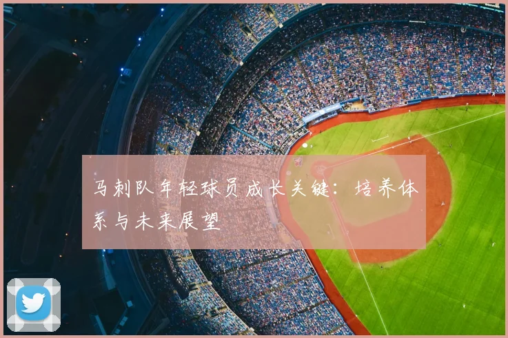 马刺队年轻球员成长关键：培养体系与未来展望