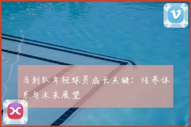 马刺队年轻球员成长关键:培养体系与未来展望